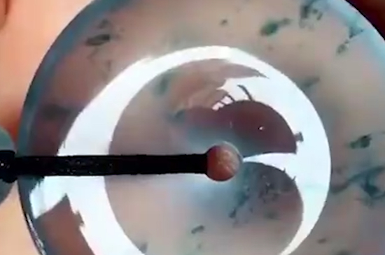 翡翠种水等级划分