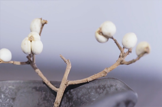 檀香木的功效与作用