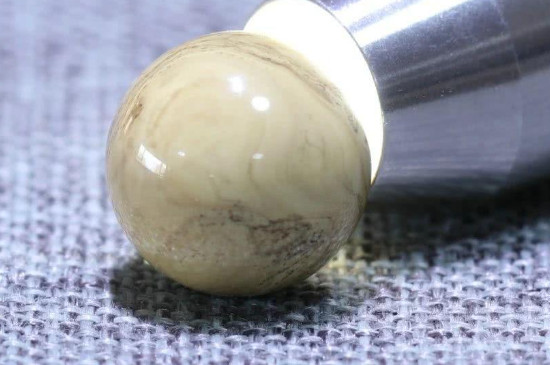 根珀和假根珀的鉴别
