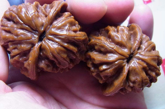 文盘核桃的正确手法图