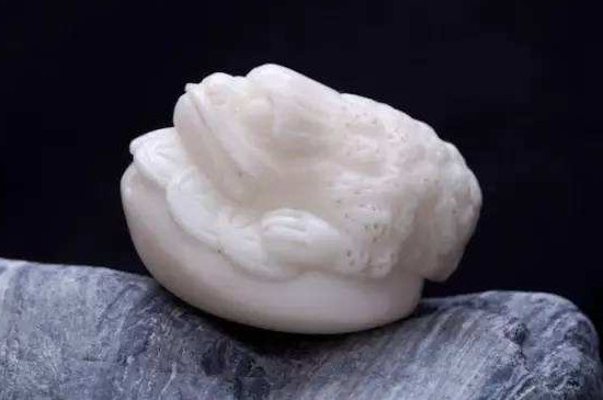 象牙果怎么看真假辨别