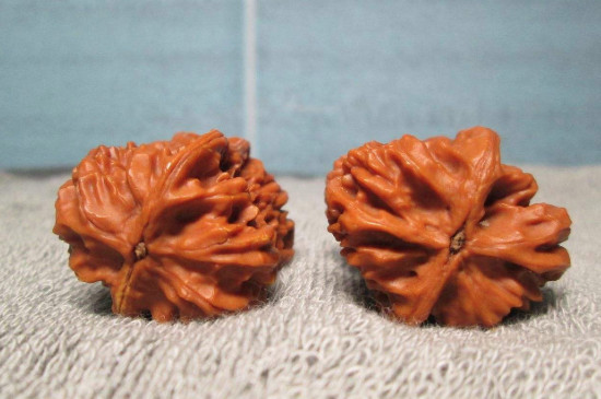 核桃5年只刷不盘会有什么结果?