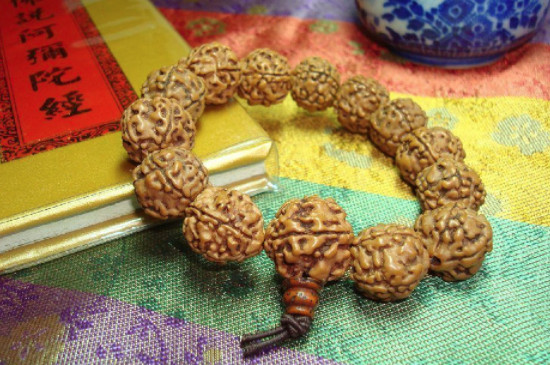 金刚药籽是什么